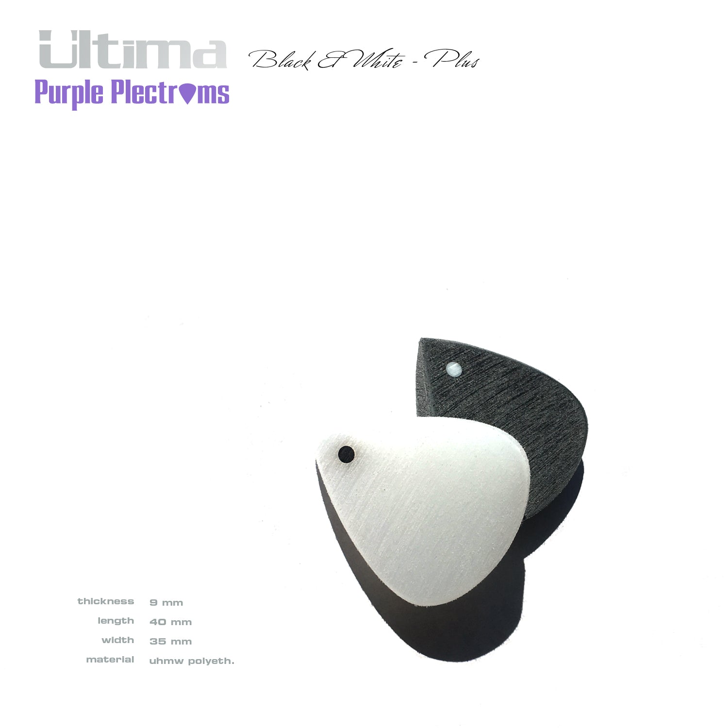 pair of black and white picks bathed in sunlight